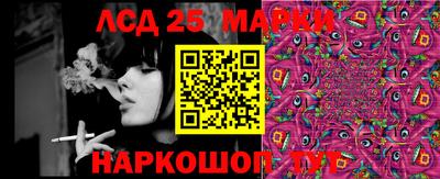 прущие грибы Краснокаменск