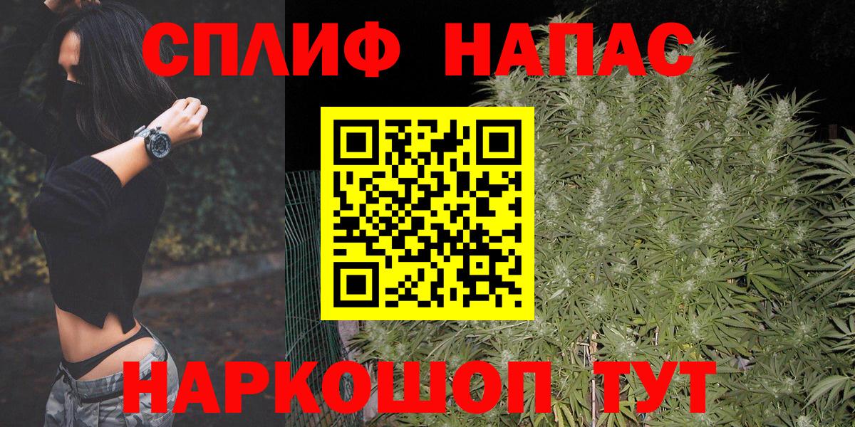 Бошки Шишки MAZAR Карачаевск